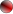 Animaciones para chicos de 1, 2 y 3 aos en Nuez