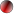 Animaciones para chicos de 4, 5 y 6 aos en Nuez
